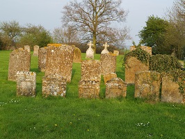 Picture of various headstone in the graveyard